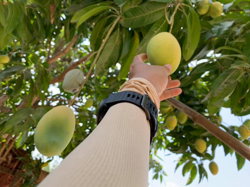 រដ្ឋាភិបាលនៅតែបន្តការចេញC/Oដើម្បីជម្រុញការនាំចេញ