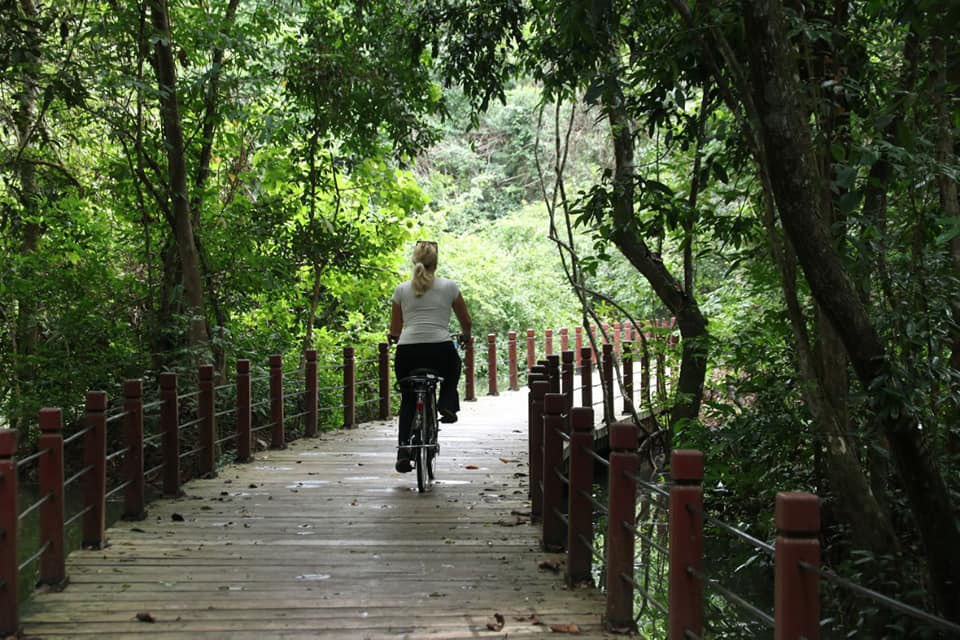 How services trade and the green transition can benefit everyone